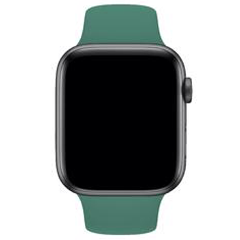 Apple Watch Çam Yeşili Silikon Kordon